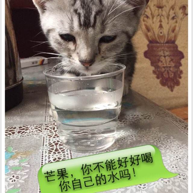 香港理工大学文凭毕业证怎么买假的